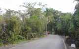 Джунгли Доминиканы